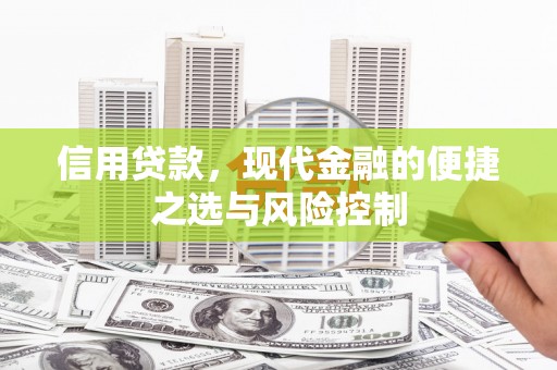 顺平信用贷款，现代金融的便捷之选与风险控制