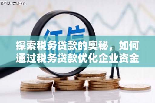 顺平探索税务贷款的奥秘，如何通过税务贷款优化企业资金流