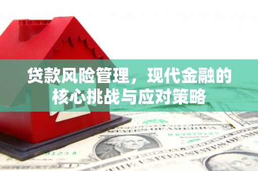 顺平贷款风险管理，现代金融的核心挑战与应对策略