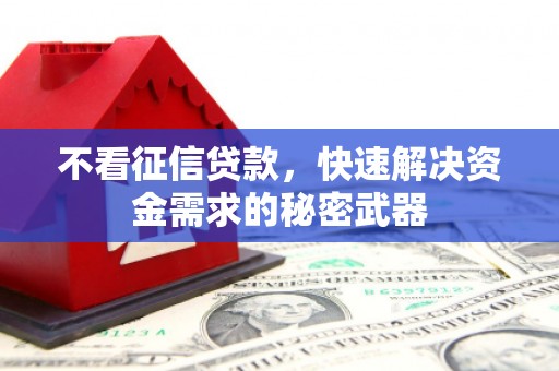 顺平不看征信贷款，快速解决资金需求的秘密武器