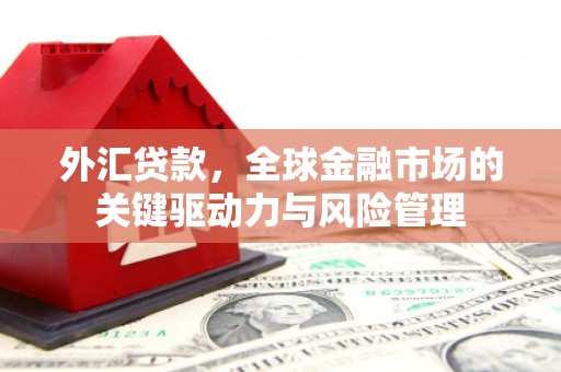 顺平外汇贷款，全球金融市场的关键驱动力与风险管理