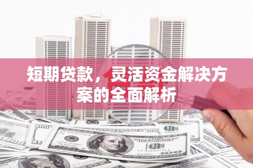 顺平短期贷款，灵活资金解决方案的全面解析