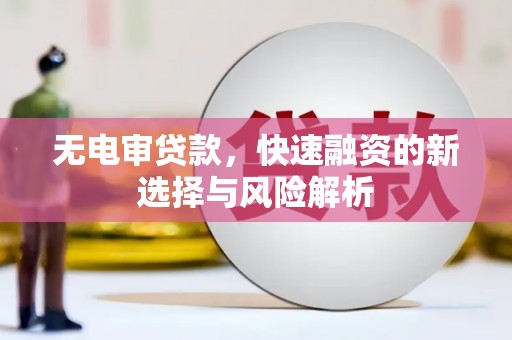 顺平无电审贷款，快速融资的新选择与风险解析