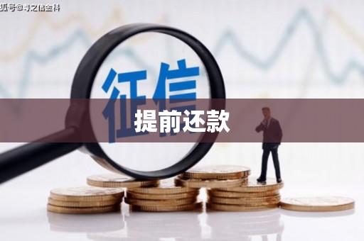 顺平提前还款