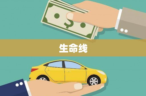 顺平生命线