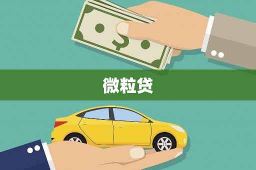 顺平微粒贷