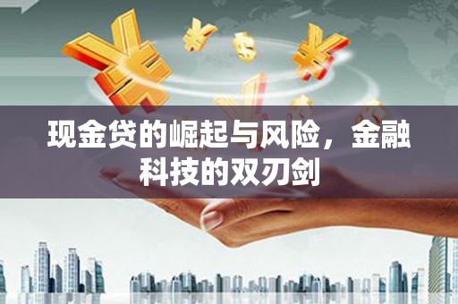 顺平现金贷的崛起与风险，金融科技的双刃剑