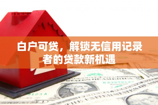 顺平白户可贷，解锁无信用记录者的贷款新机遇