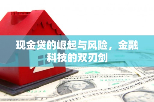 顺平现金贷的崛起与风险，金融科技的双刃剑