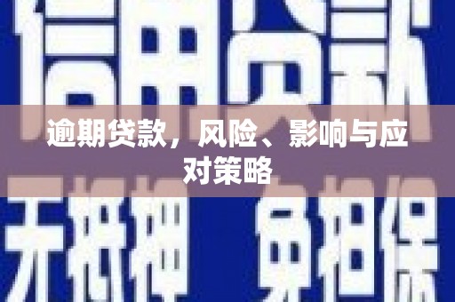 顺平逾期贷款，风险、影响与应对策略