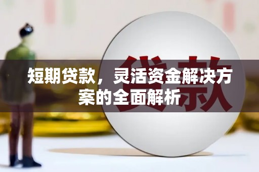 顺平短期贷款，灵活资金解决方案的全面解析