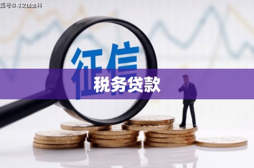 顺平税务贷款