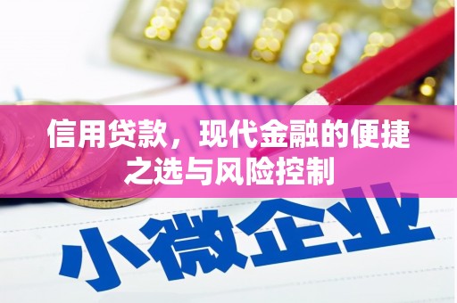 顺平信用贷款，现代金融的便捷之选与风险控制