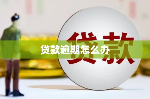 顺平贷款逾期怎么办