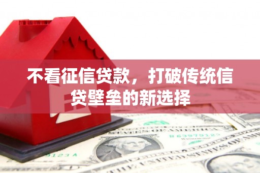 顺平不看征信贷款，打破传统信贷壁垒的新选择