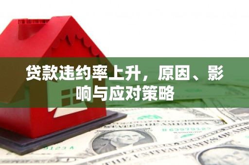 顺平贷款违约率上升，原因、影响与应对策略
