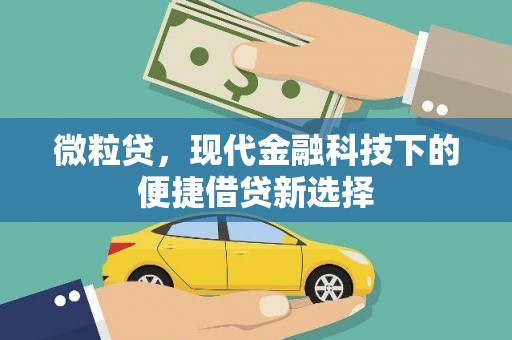 顺平微粒贷，现代金融科技下的便捷借贷新选择