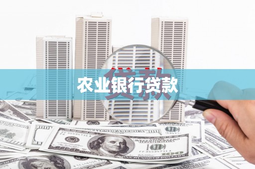顺平农业银行贷款
