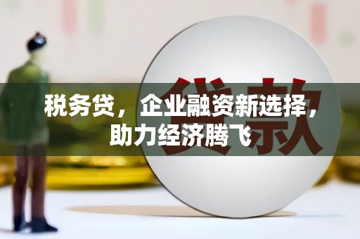 顺平税务贷，企业融资新选择，助力经济腾飞