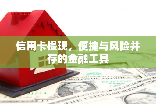 顺平信用卡提现，便捷与风险并存的金融工具