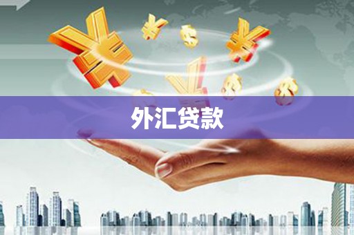 顺平外汇贷款