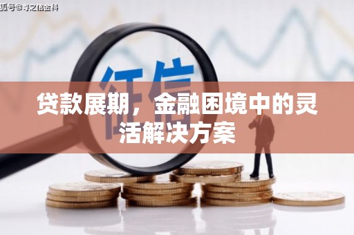 顺平贷款展期，金融困境中的灵活解决方案