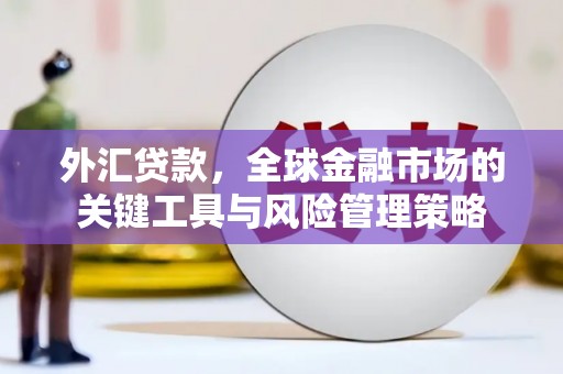 顺平外汇贷款，全球金融市场的关键工具与风险管理策略