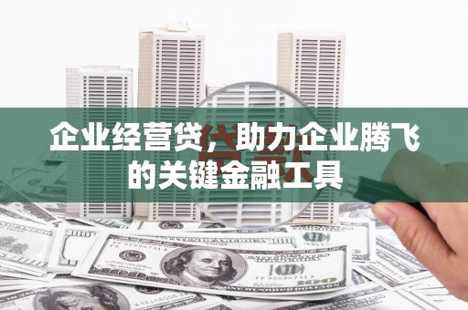 顺平企业经营贷，助力企业腾飞的关键金融工具