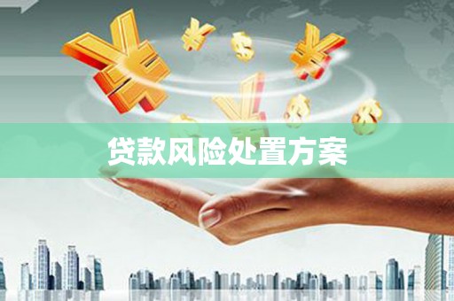 顺平贷款风险处置方案