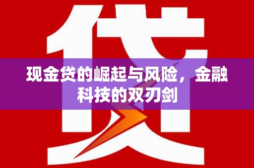 顺平现金贷的崛起与风险，金融科技的双刃剑