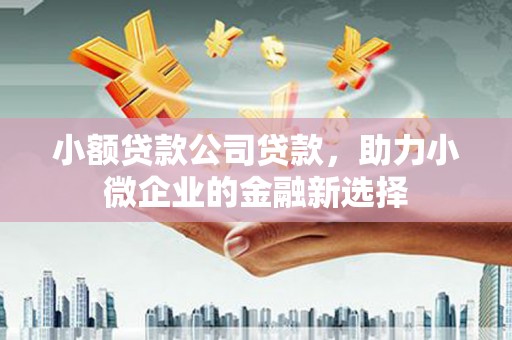 顺平小额贷款公司贷款，助力小微企业的金融新选择