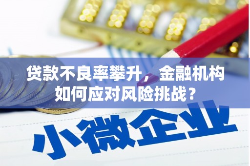 顺平贷款不良率攀升，金融机构如何应对风险挑战？