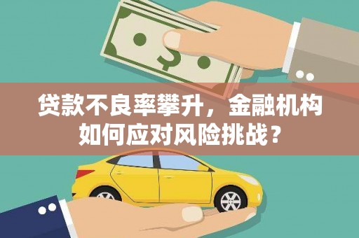 顺平贷款不良率攀升，金融机构如何应对风险挑战？