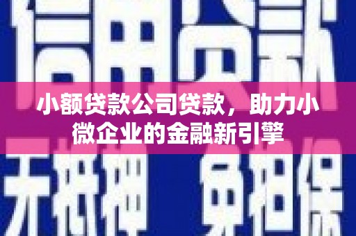 顺平小额贷款公司贷款，助力小微企业的金融新引擎