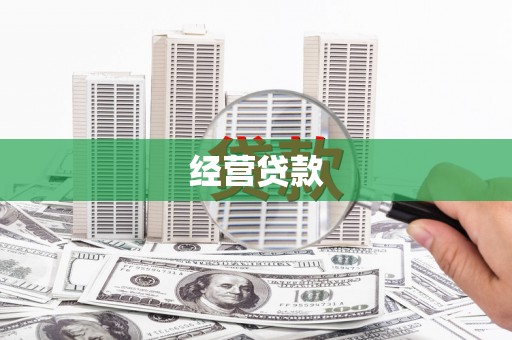 顺平经营贷款