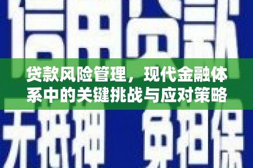 顺平贷款风险管理，现代金融体系中的关键挑战与应对策略