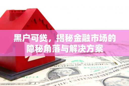 顺平黑户可贷，揭秘金融市场的隐秘角落与解决方案