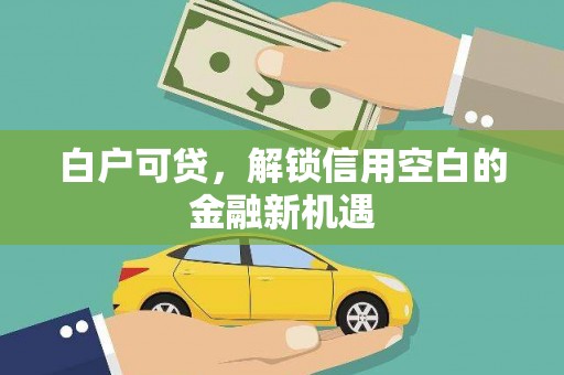顺平白户可贷，解锁信用空白的金融新机遇