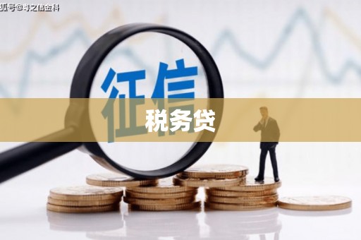 顺平税务贷