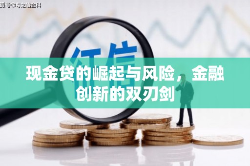 顺平现金贷的崛起与风险，金融创新的双刃剑