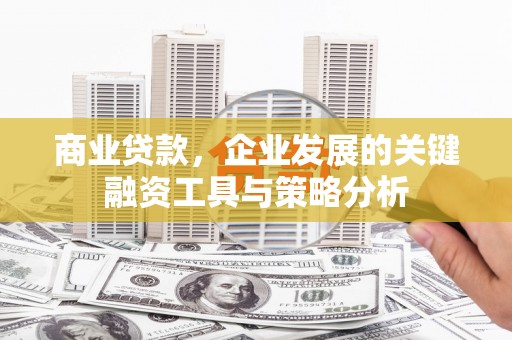 顺平商业贷款，企业发展的关键融资工具与策略分析