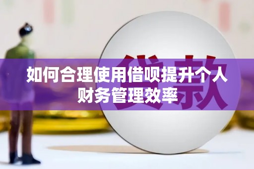 顺平如何合理使用借呗提升个人财务管理效率