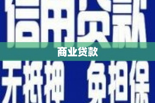 顺平商业贷款