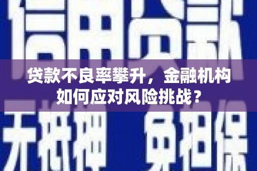 顺平贷款不良率攀升，金融机构如何应对风险挑战？