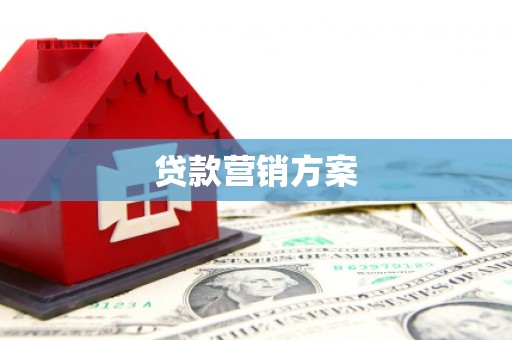 顺平贷款营销方案