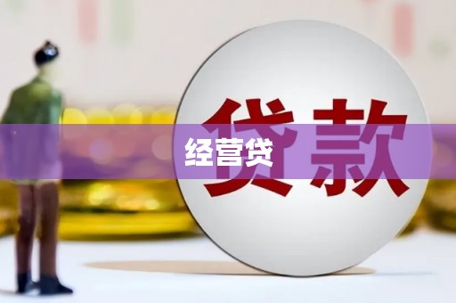顺平经营贷