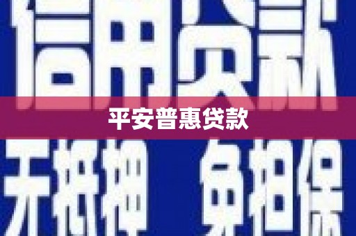顺平平安普惠贷款
