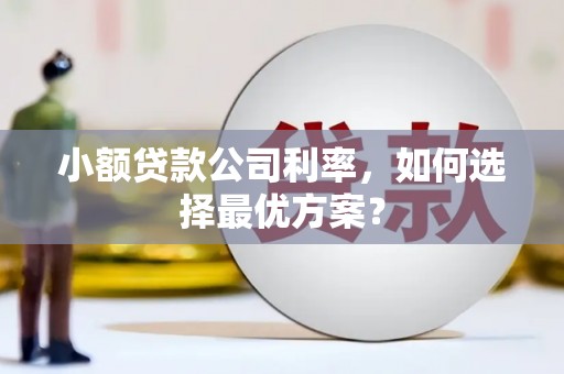 顺平小额贷款公司利率，如何选择最优方案？