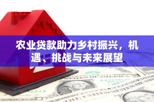 顺平农业贷款助力乡村振兴，机遇、挑战与未来展望