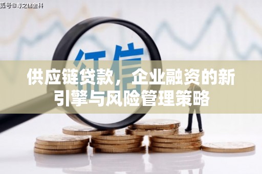 顺平供应链贷款，企业融资的新引擎与风险管理策略